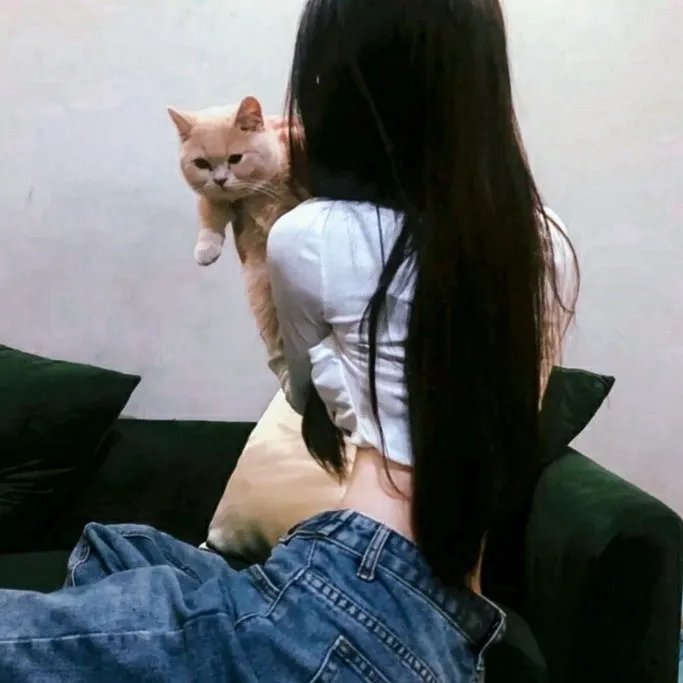 蜡笔小新:我的超时空新娘